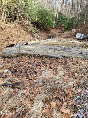 $115,999 | 1271 Upper Higgins Creek Road, Flag Pond, TN 37657