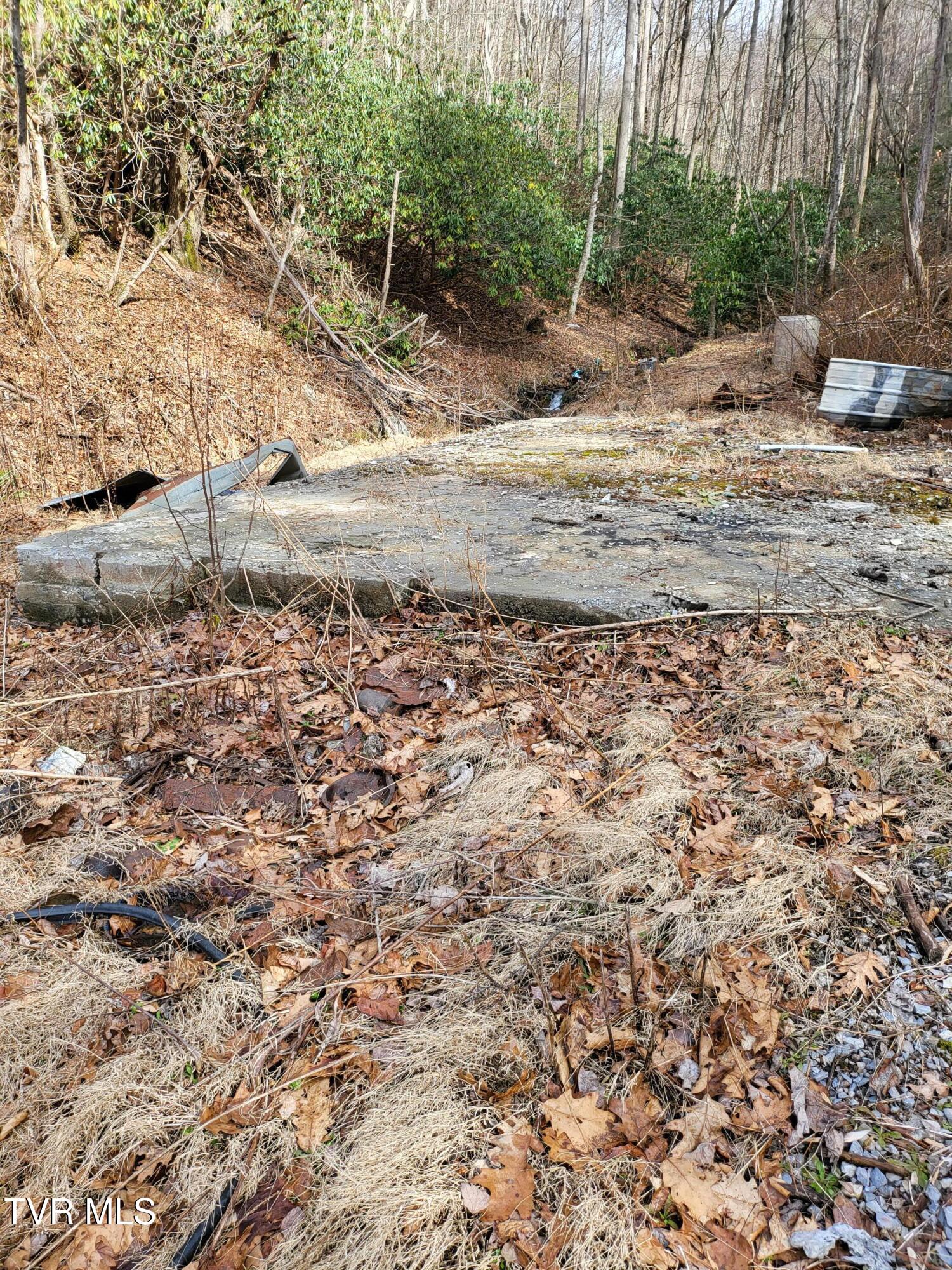 1271 Upper Higgins Creek Road Flag Pond, TN 37657 - Photo 4 of 11 20260217_133902