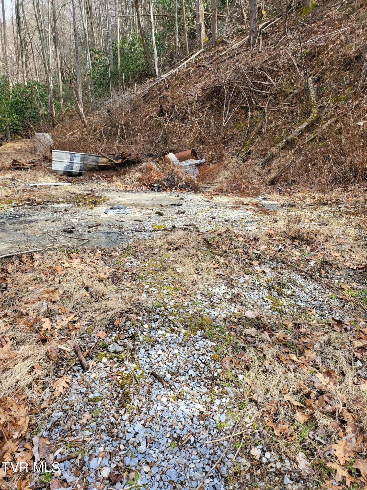 1271 Upper Higgins Creek Road Flag Pond, TN 37657 - Photo 5 of 11 20260217_133904
