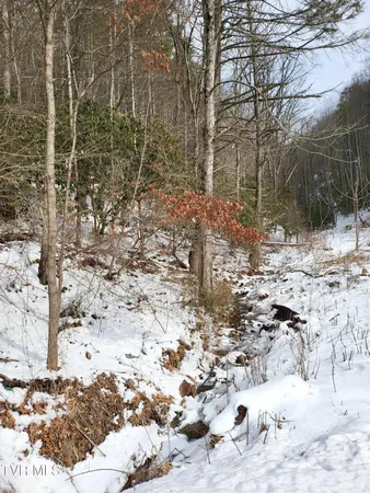 $115,999 | 1271 Upper Higgins Creek Road, Flag Pond, TN 37657