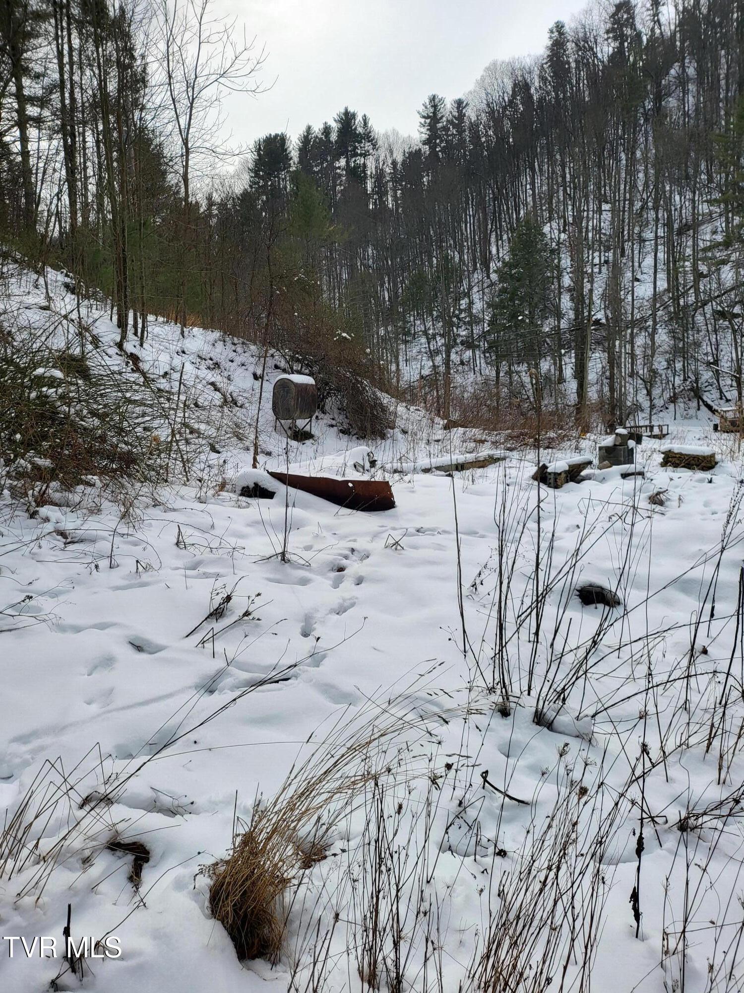1271 Upper Higgins Creek Road Flag Pond, TN 37657 - Photo 8 of 11 20260203_132644 (1)