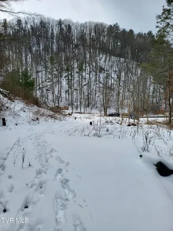 $115,999 | 1271 Upper Higgins Creek Road, Flag Pond, TN 37657