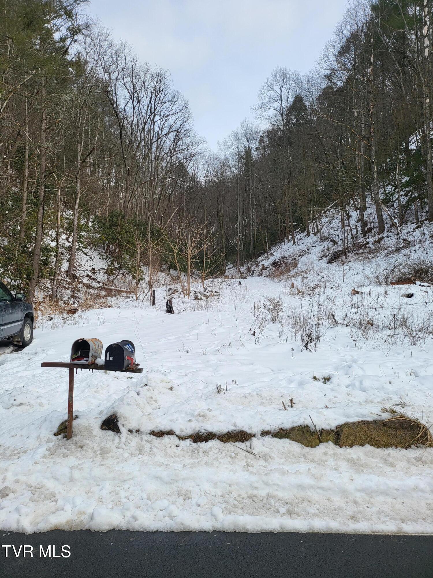 1271 Upper Higgins Creek Road Flag Pond, TN 37657 - Photo 10 of 11 20260203_132101