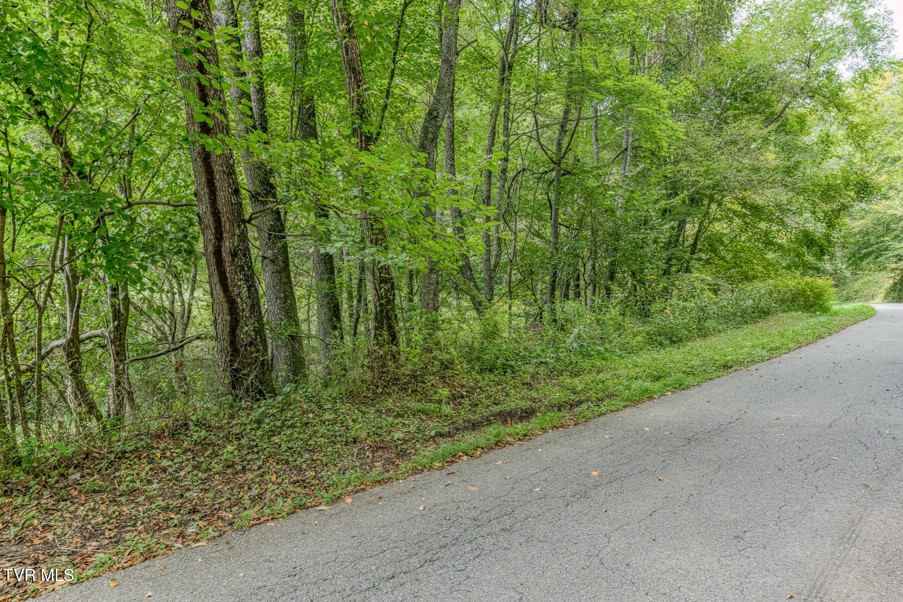 9.95-acres Heaton Ridge Road Roan Mountain, TN 37687 - Photo 2 of 19 TBD Heaton Ridge Rd-1