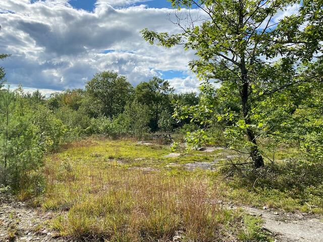 0 Douglas Mill Road Porter, ME 04068 - Photo 5 of 14 IMG_3598