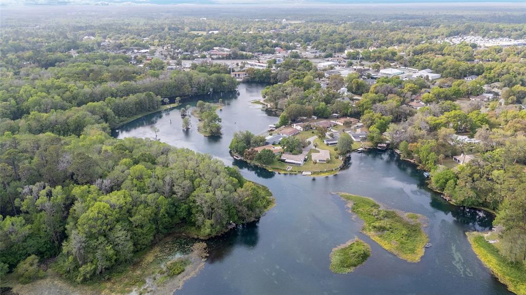 12180 Maple Street Dunnellon, FL 34432 - Photo 2 of 74