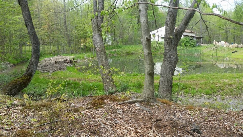 5406 Laskey Road Rome, OH 44085 - Photo 29 of 30