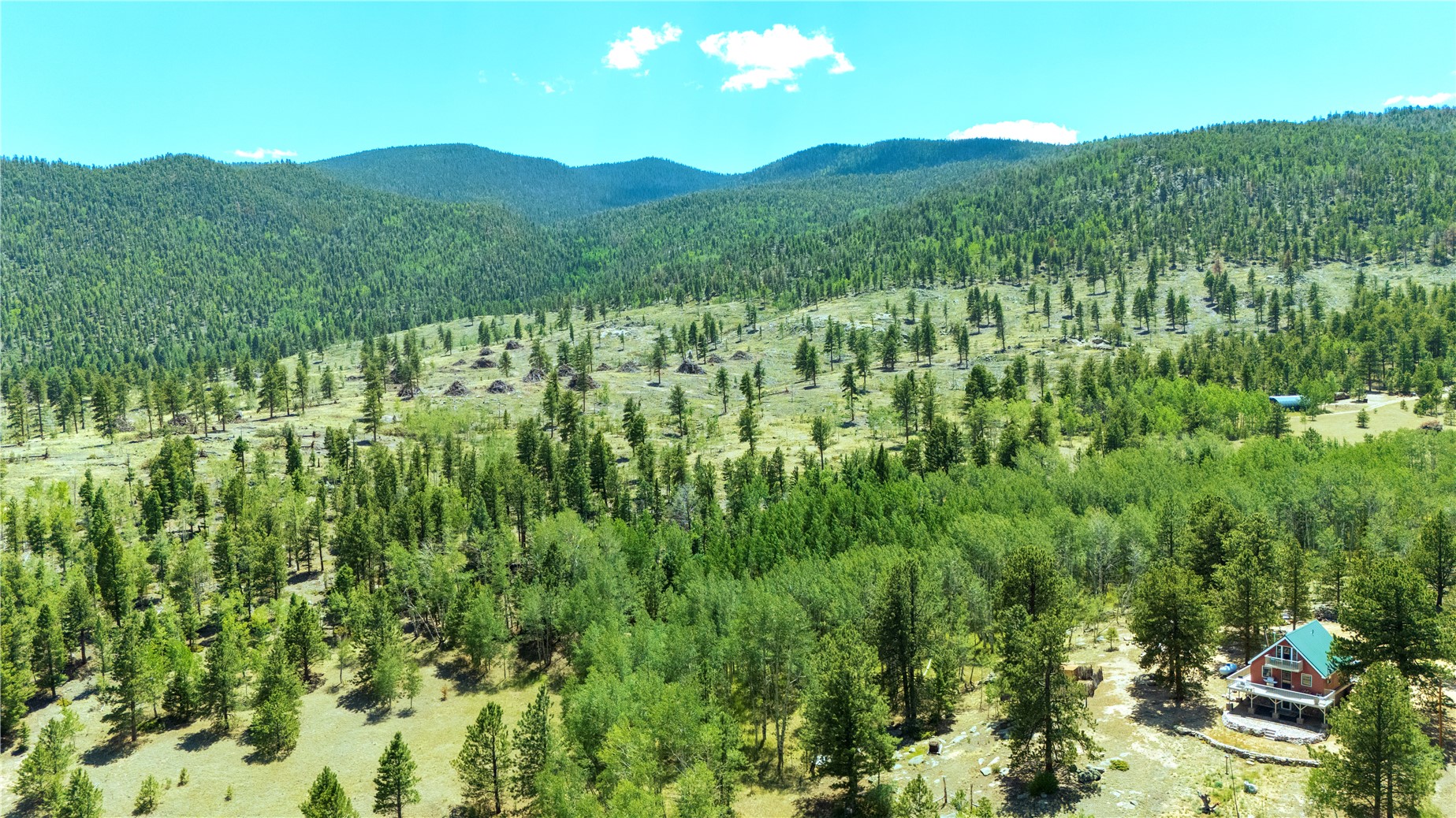 1036 Pulver Road Lake George, CO 80827 - Photo 14 of 27