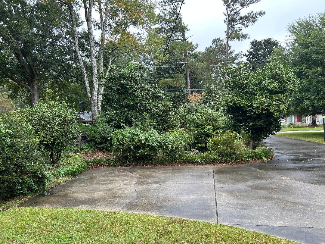 738 Reynolds Road Sumter, SC 29150 - Photo 8 of 36 Gallery Image 8