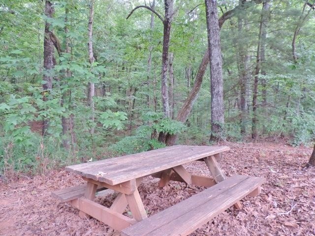 335 Falcons Nest Road Walhalla, SC 29691 - Photo 6 of 36 Gallery Image 6