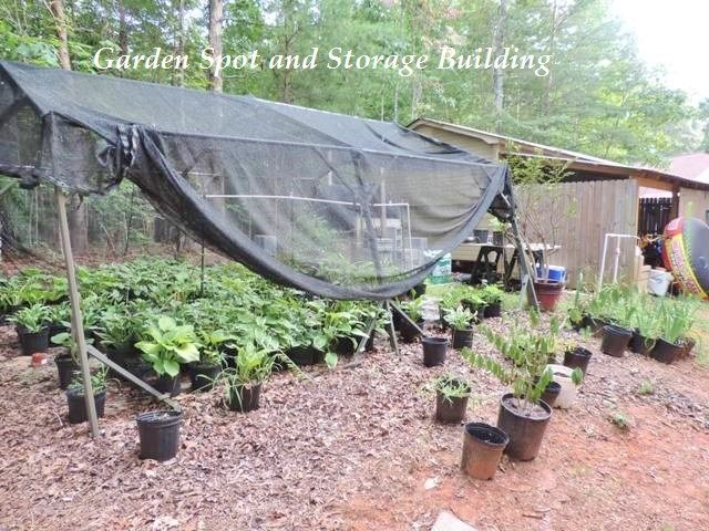335 Falcons Nest Road Walhalla, SC 29691 - Photo 10 of 36 Gallery Image 10