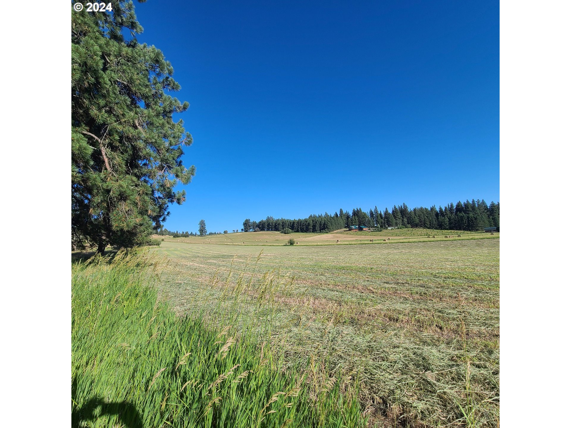 69867 Summerville Road Summerville, OR 97876 - Photo 43 of 48 a view of an ocean from a yard