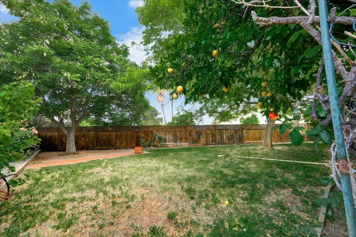 27335 Ventan Street Menifee, CA 92586 - Photo 35 of 36 a view of a backyard with a small cabin