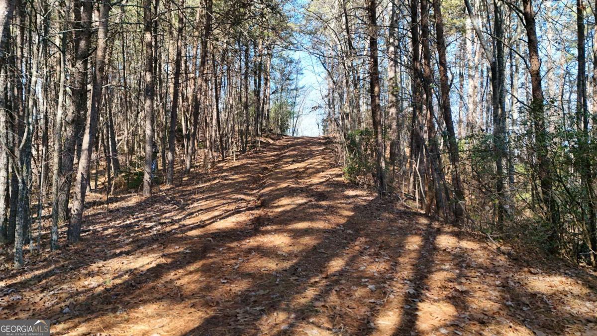Lot 1 Gold Valley Road Sautee Nacoochee, GA 30571 - Photo 2 of 13