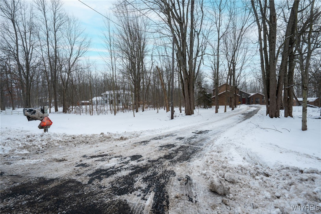 10545 County Road Clarence, NY 14031 - Photo 2 of 45