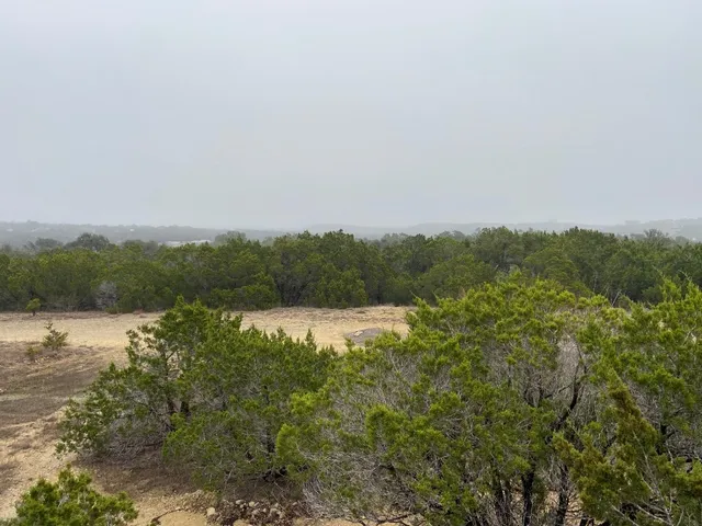a view of a field with an ocean