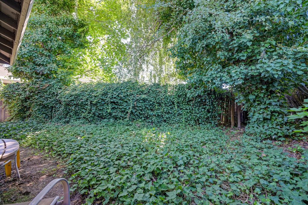 310 Bello Rio Way Sacramento, CA 95831 - Photo 62 of 62 Gallery Image 62