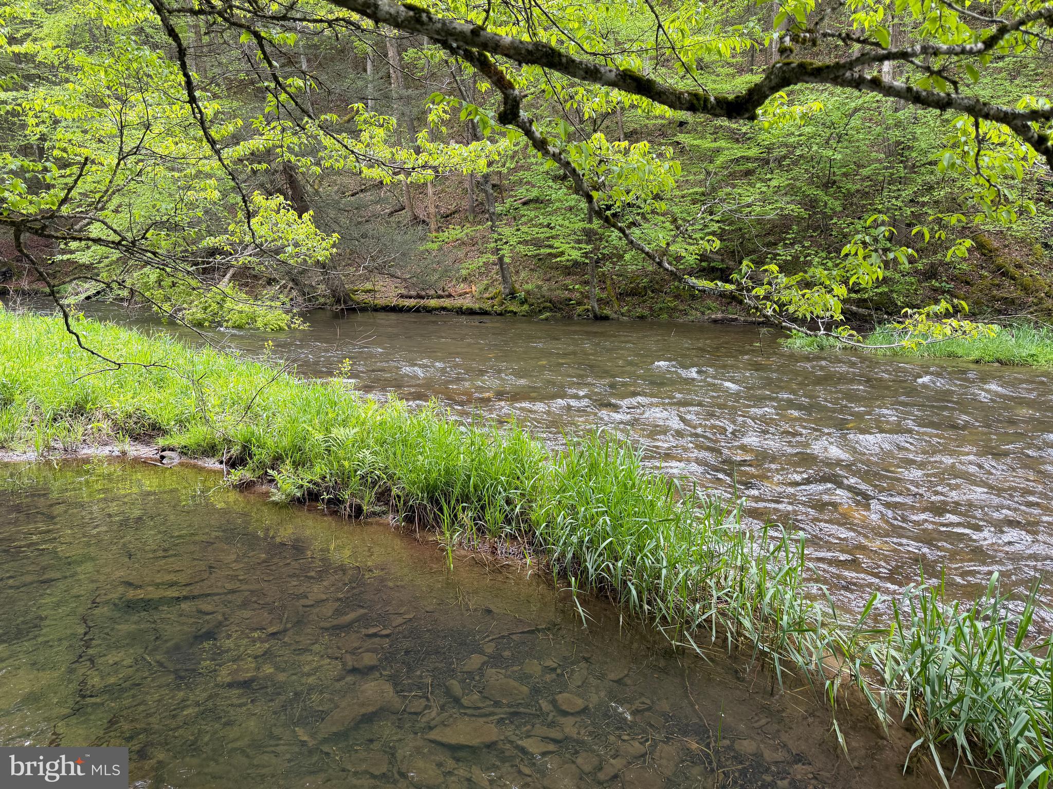 1227 Cross Fork Creek Road Cross Fork, PA 17729 - Photo 94 of 139