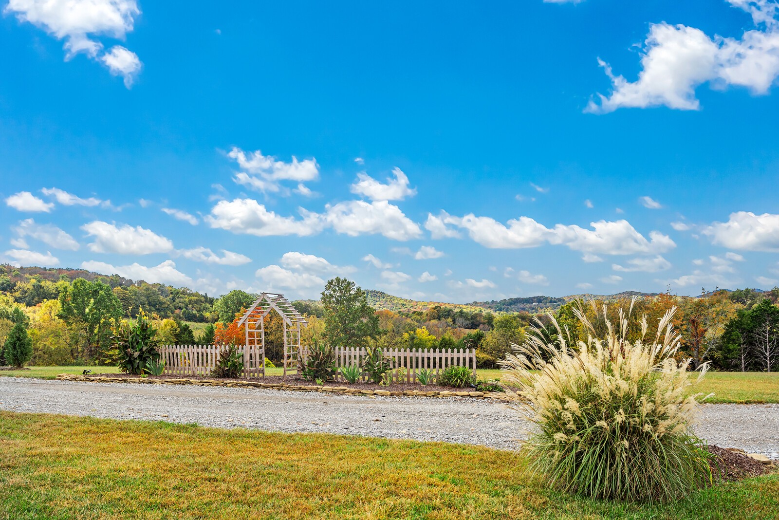 791 Coon Branch Road Alexandria, TN 37012 - Photo 5 of 33 a view of a lake with a house in the background