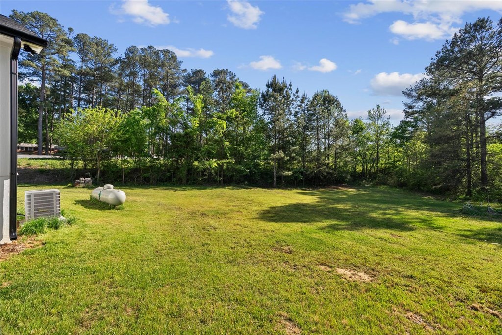 5805 Old Federal Road South Chatsworth, GA 30705 - Photo 30 of 32 Gallery Image 30