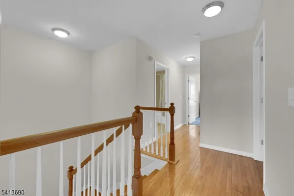 a view of a garden with plants and large trees