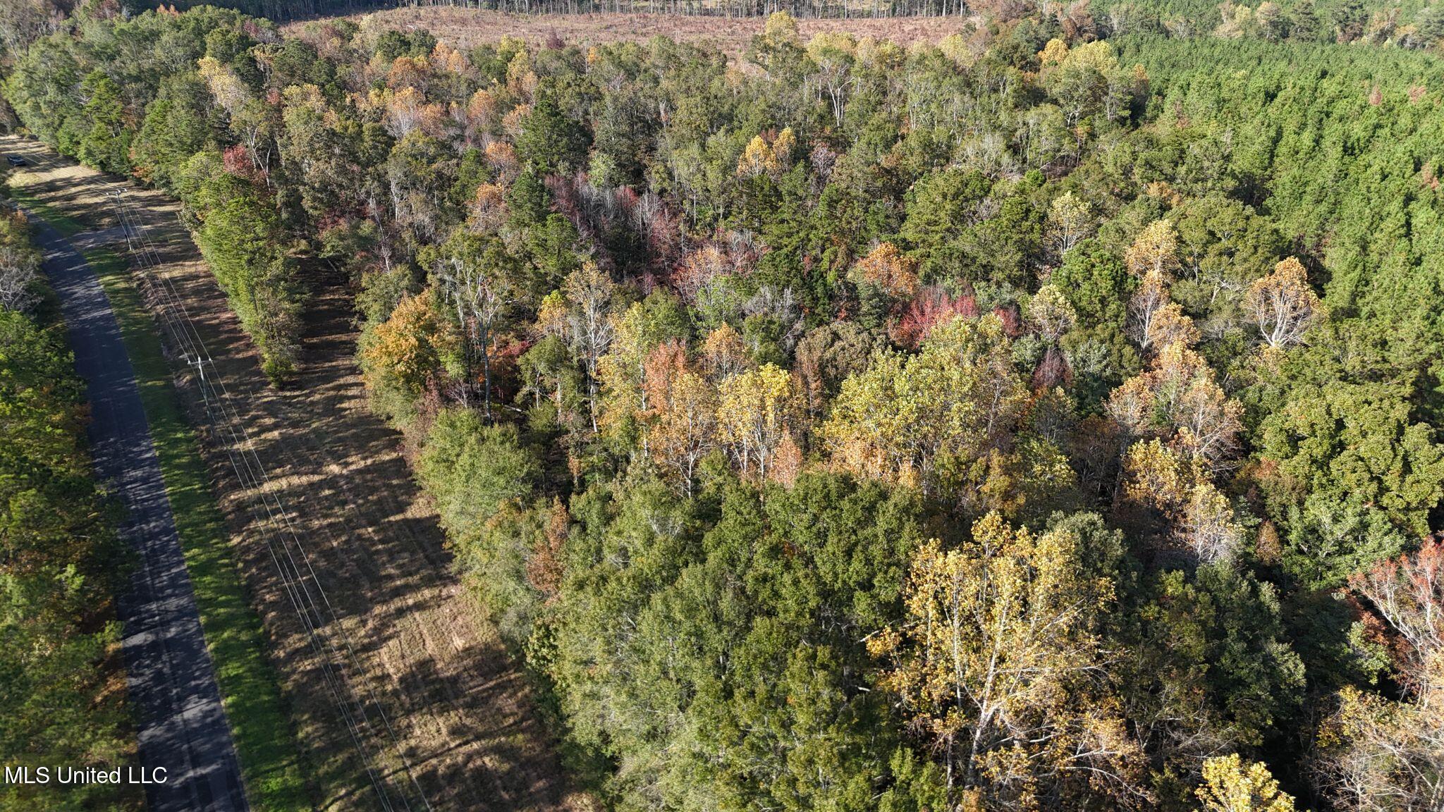 6643 County Road 630 Quitman, MS 39355 - Photo 11 of 58 4