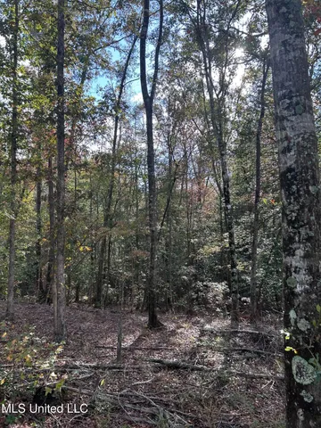 $138,000 | 6643 County Road 630, Quitman, MS 39355