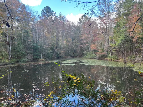 $125,000 | 6643 County Road 630, Quitman, MS 39355