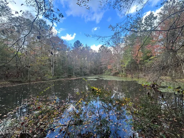 $125,000 | 6643 County Road 630, Quitman, MS 39355