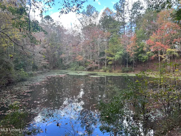 $125,000 | 6643 County Road 630, Quitman, MS 39355