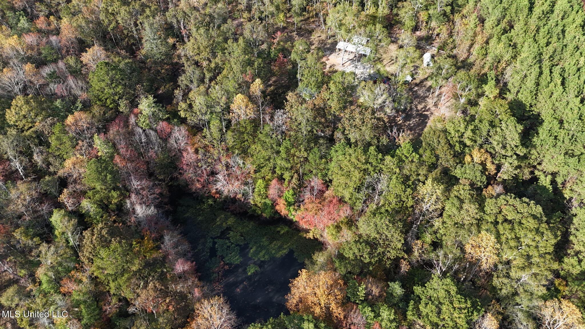 6643 County Road 630 Quitman, MS 39355 - Photo 30 of 58 9
