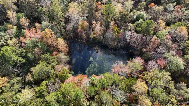 $138,000 | 6643 County Road 630, Quitman, MS 39355