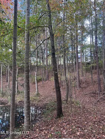 $125,000 | 6643 County Road 630, Quitman, MS 39355