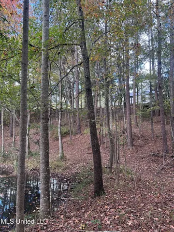 $138,000 | 6643 County Road 630, Quitman, MS 39355