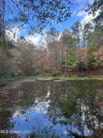 $125,000 | 6643 County Road 630, Quitman, MS 39355