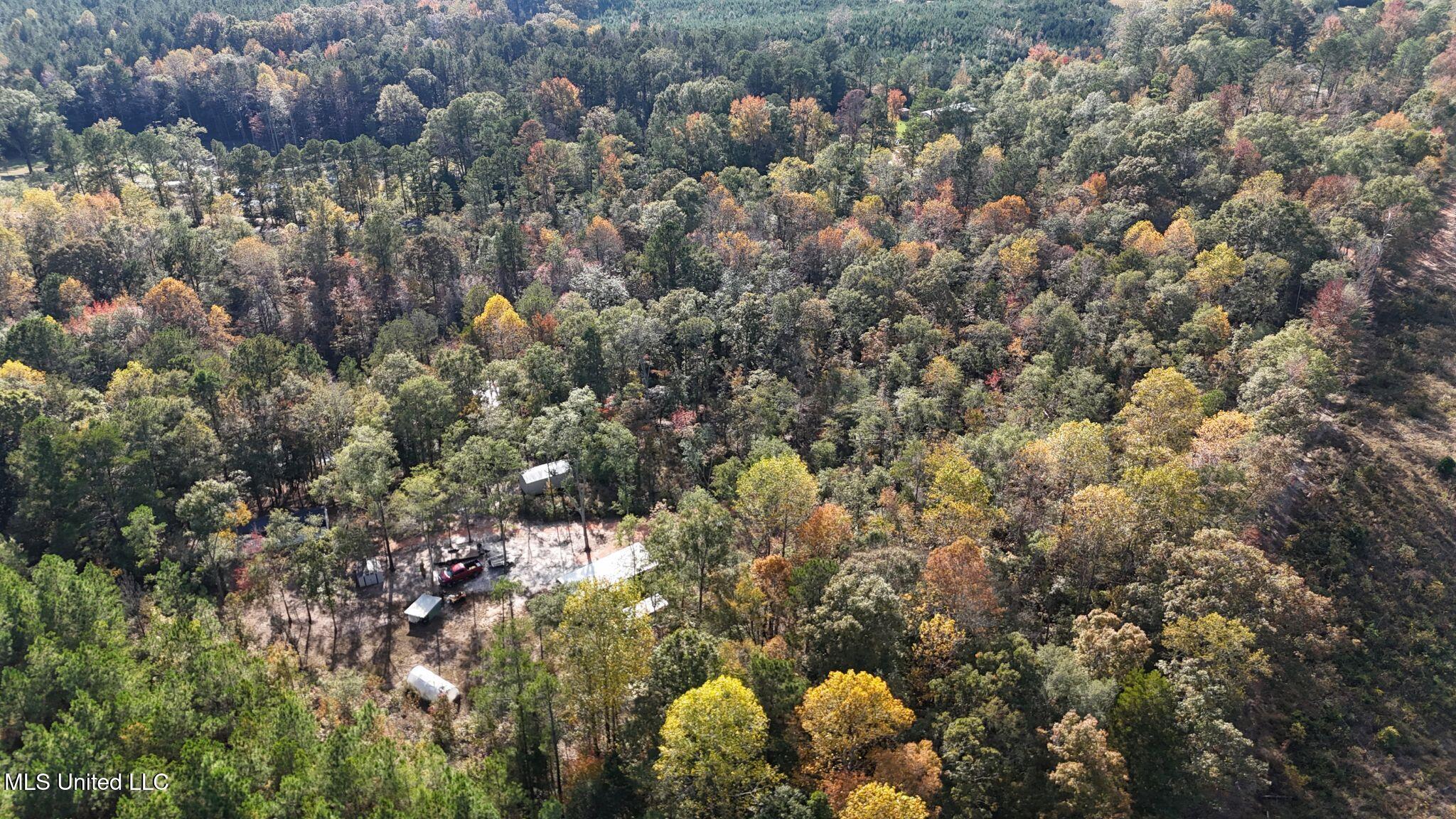 6643 County Road 630 Quitman, MS 39355 - Photo 44 of 58 13