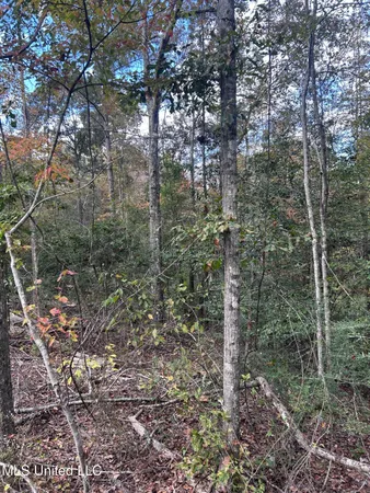 $125,000 | 6643 County Road 630, Quitman, MS 39355