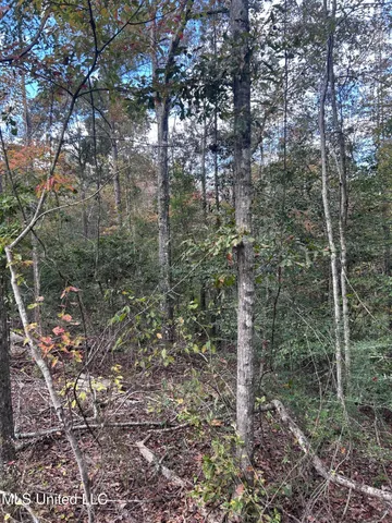 $138,000 | 6643 County Road 630, Quitman, MS 39355