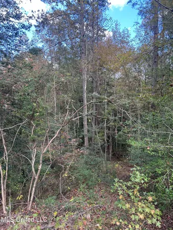 $125,000 | 6643 County Road 630, Quitman, MS 39355