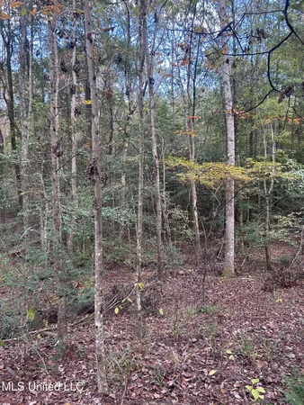 $125,000 | 6643 County Road 630, Quitman, MS 39355