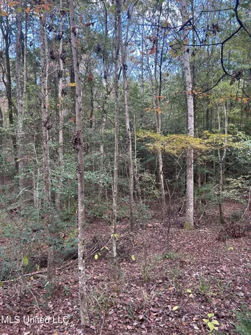 $138,000 | 6643 County Road 630, Quitman, MS 39355