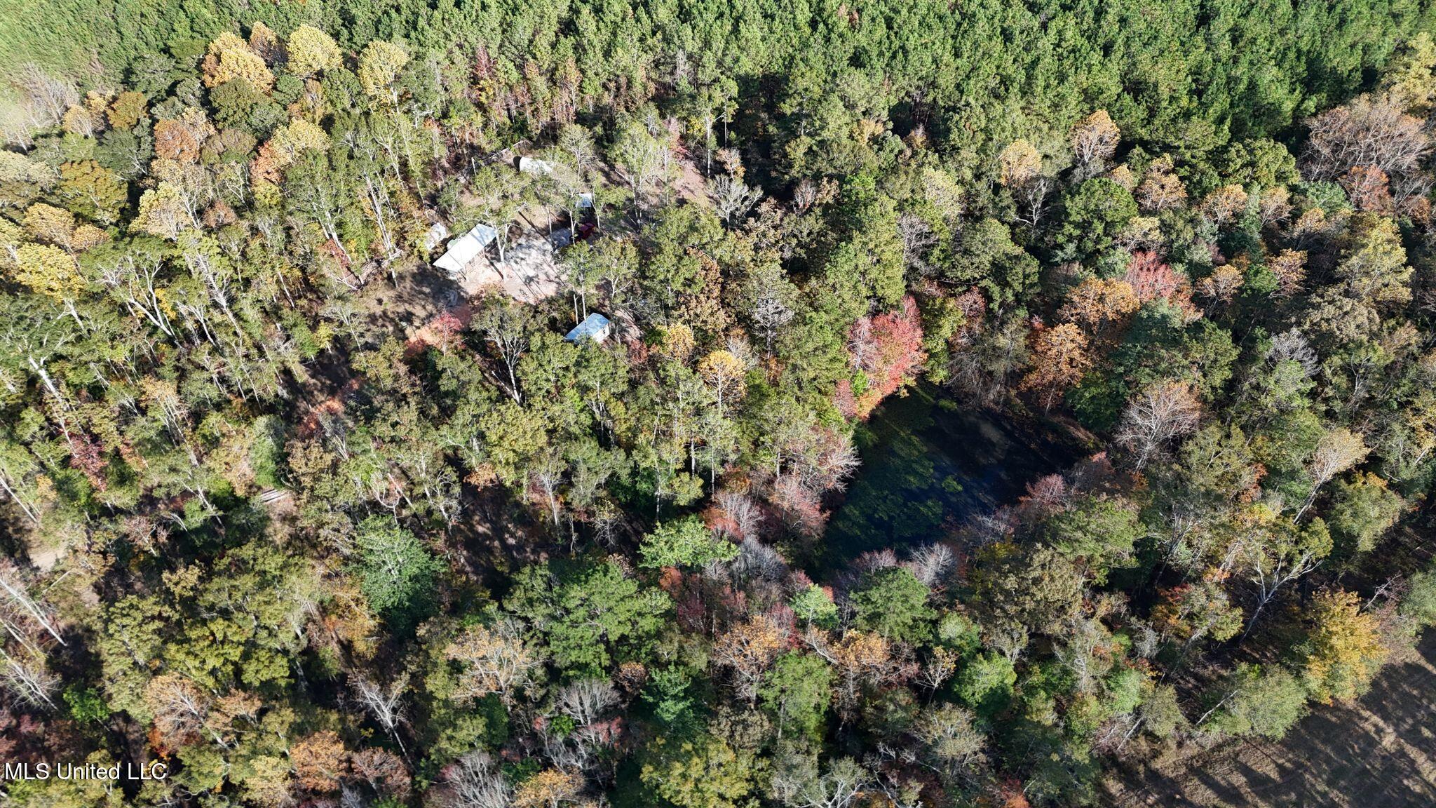 6643 County Road 630 Quitman, MS 39355 - Photo 5 of 58 2