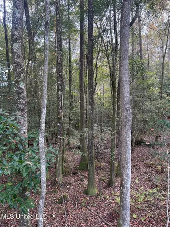 $125,000 | 6643 County Road 630, Quitman, MS 39355