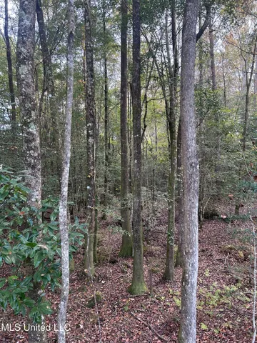 $138,000 | 6643 County Road 630, Quitman, MS 39355