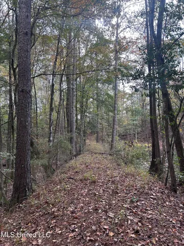$138,000 | 6643 County Road 630, Quitman, MS 39355