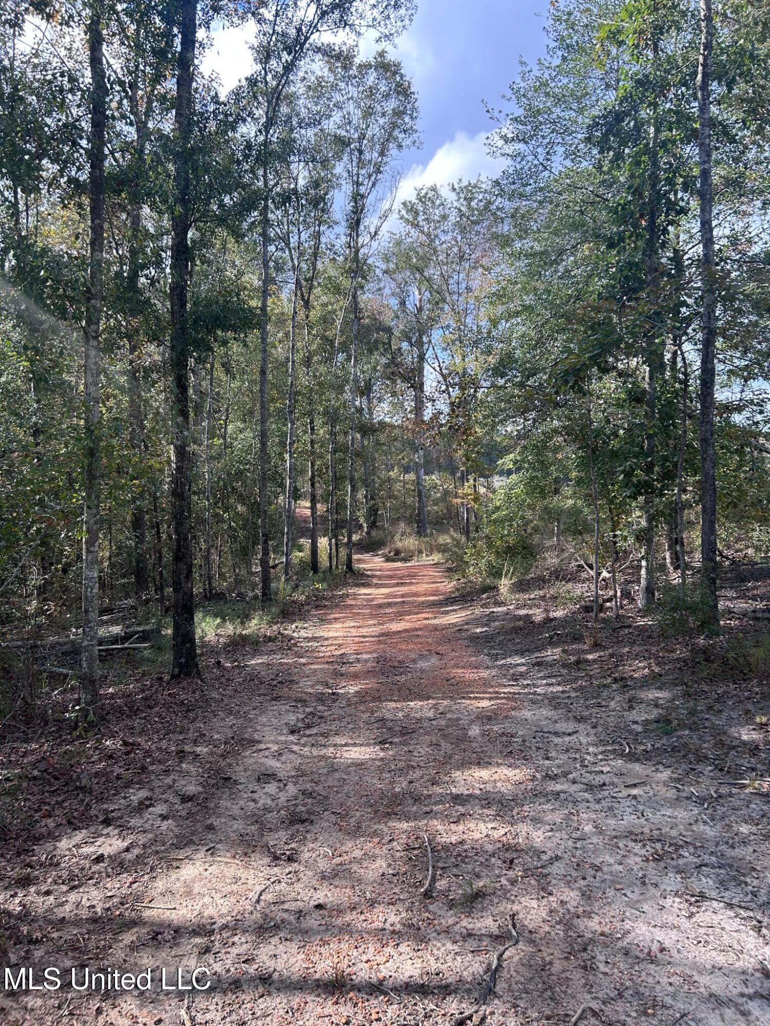 6643 County Road 630 Quitman, MS 39355 - Photo 54 of 58 18