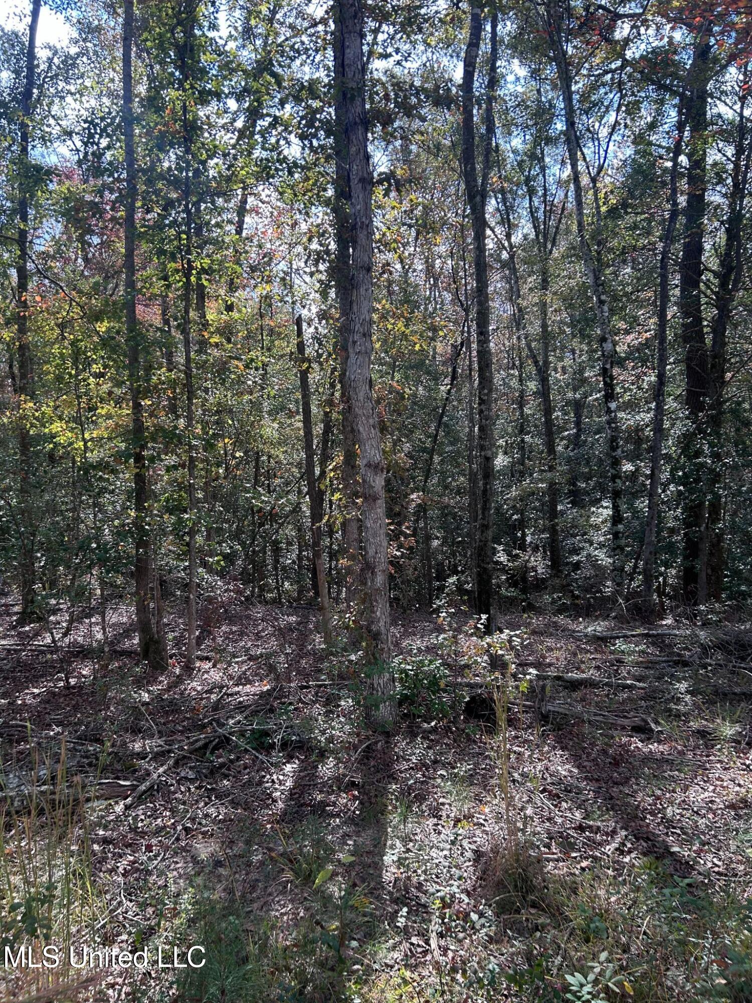 6643 County Road 630 Quitman, MS 39355 - Photo 55 of 58 19