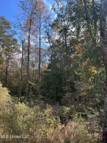 $138,000 | 6643 County Road 630, Quitman, MS 39355