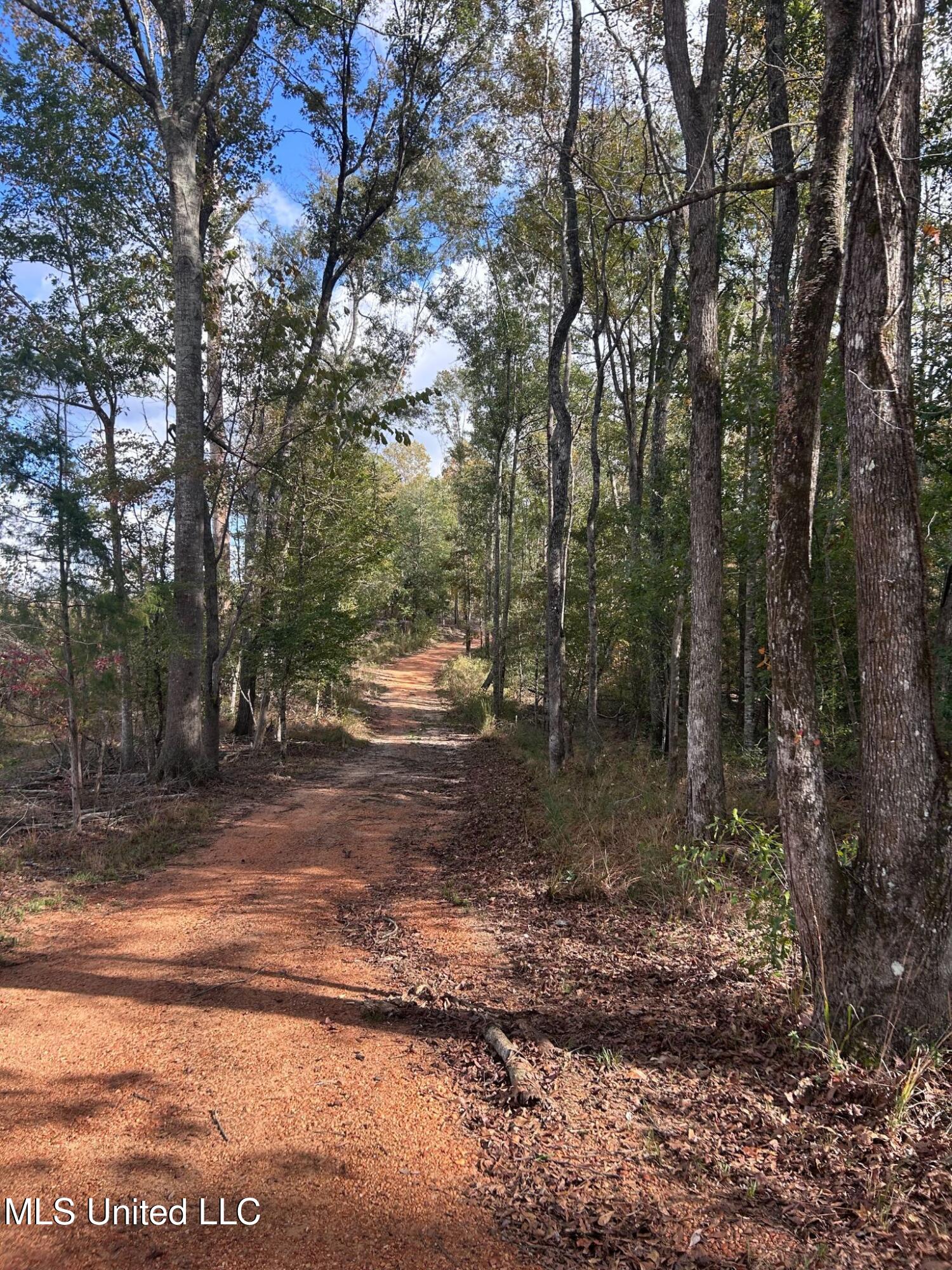6643 County Road 630 Quitman, MS 39355 - Photo 58 of 58 22