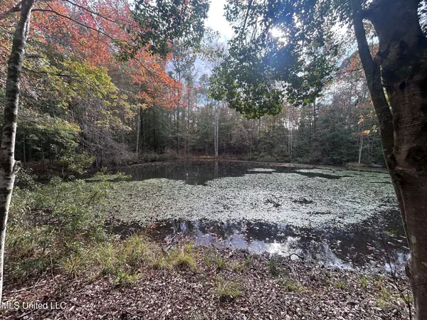 $125,000 | 6643 County Road 630, Quitman, MS 39355